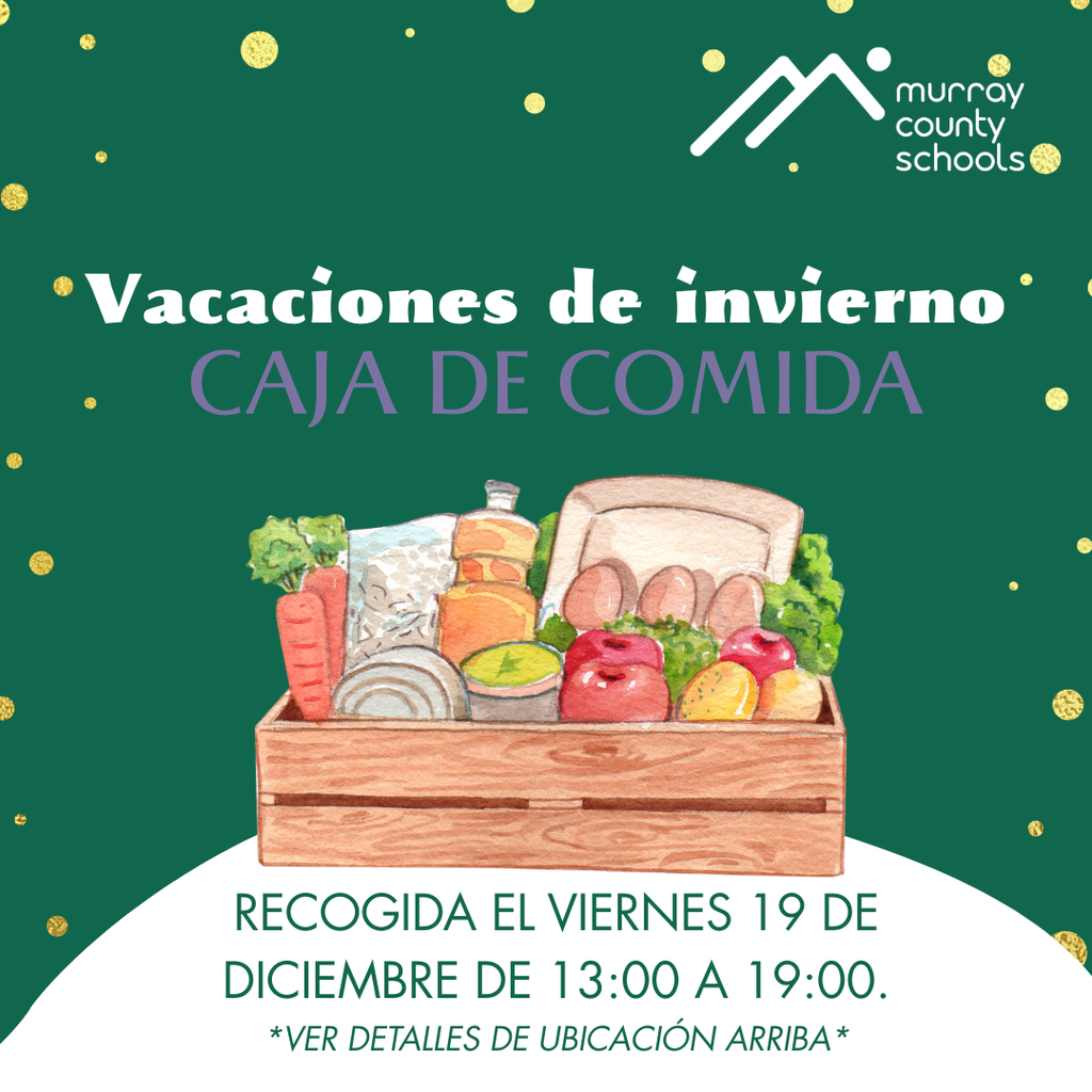 winter holiday meal boxes