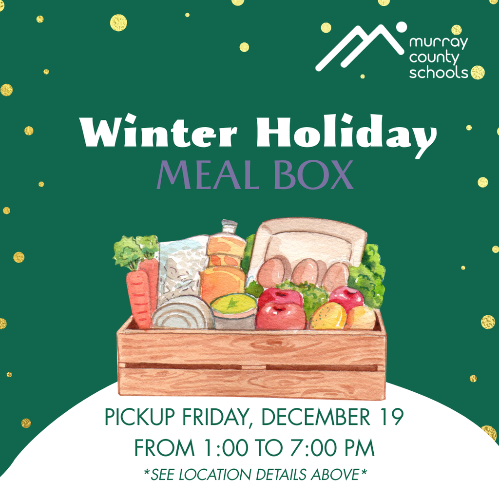 winter holiday meal boxes
