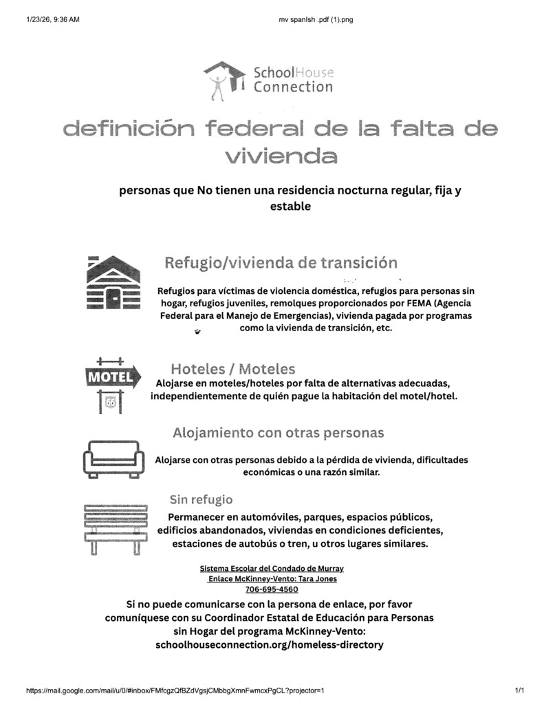 MV Definition Flyer Spanish