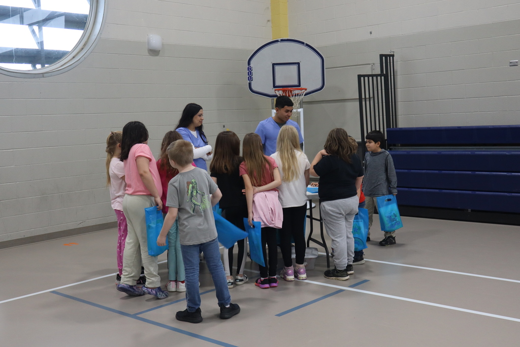 2nd grade health fair 