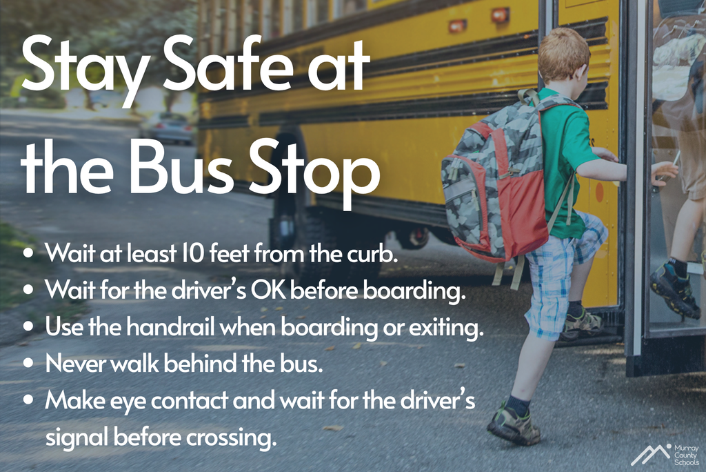 Child with backpack boards yellow school bus with safety instructions on white background.