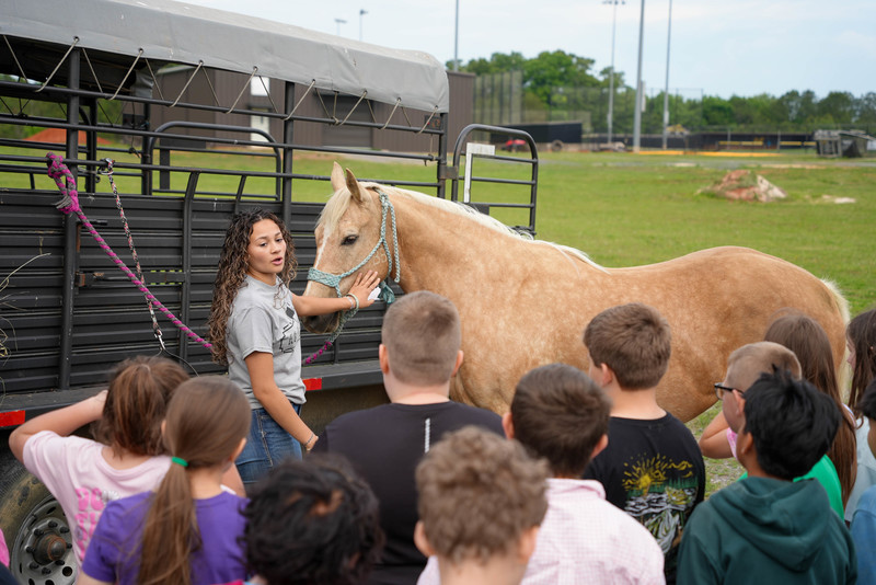 Student showing horse