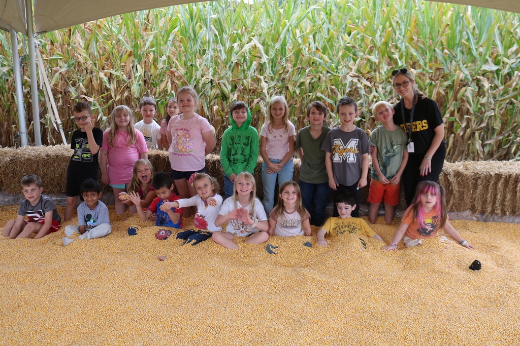 fall on the farm 3