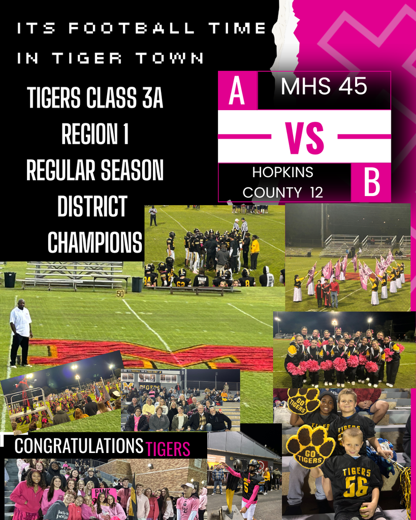 tigers district champs