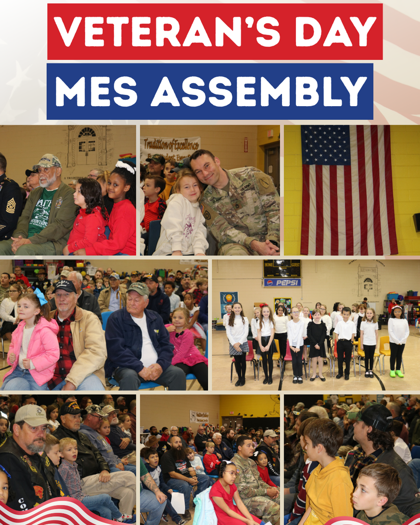 veteran's day assembly mes
