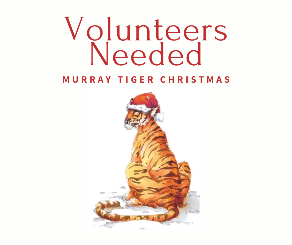 Volunteers Tiger Christmas 2025