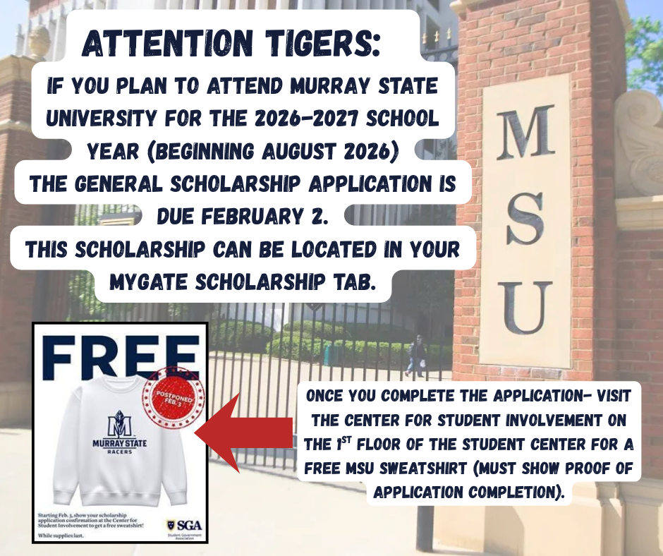 MSU General Scholarship Information