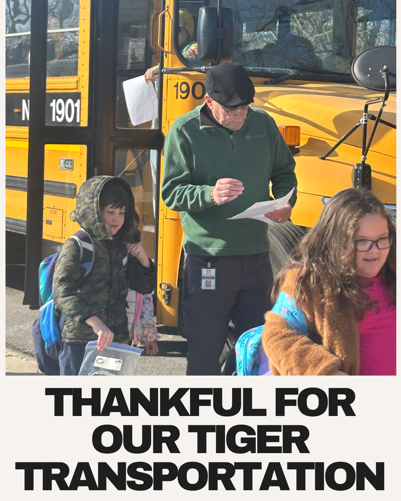 tIGER TRANSPORTATION