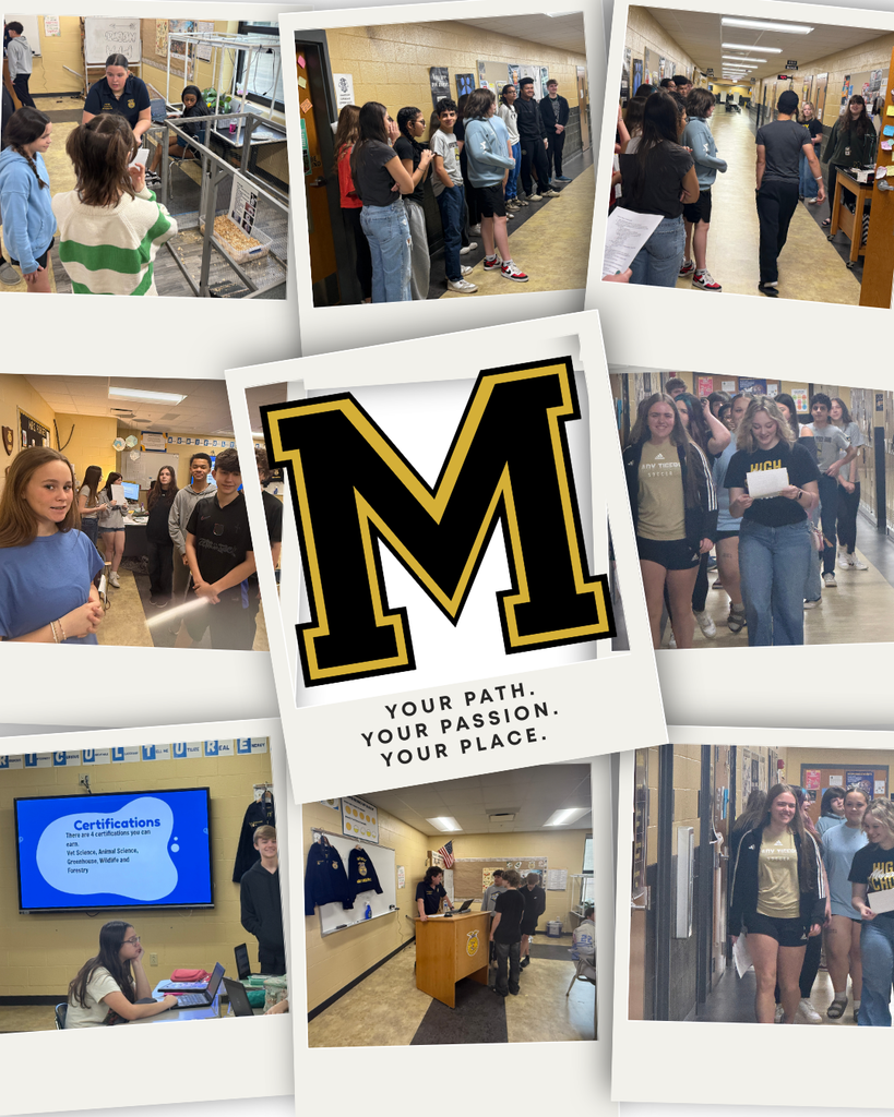 MHS Preview Day