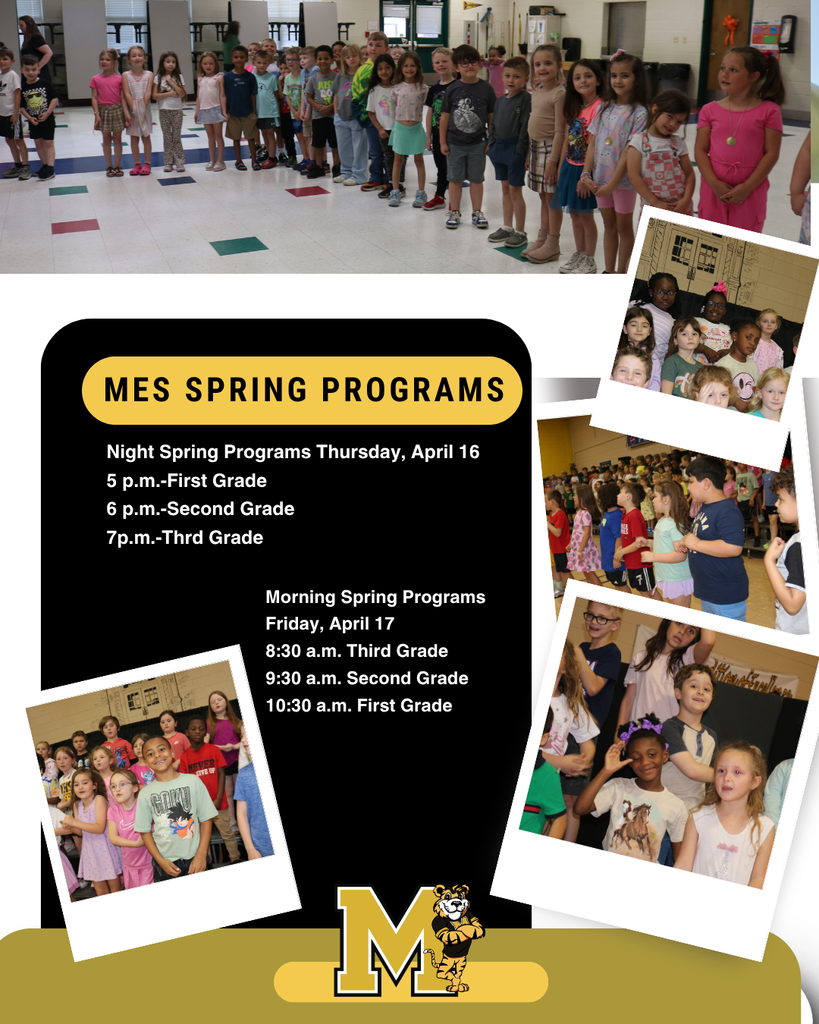 MES Spring Programs