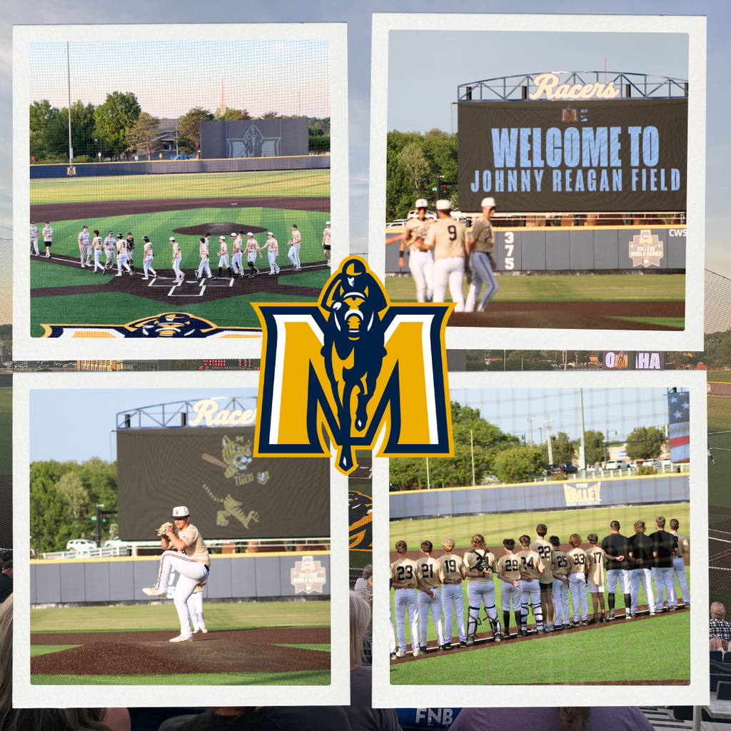 Tiger Baseball at MSU
