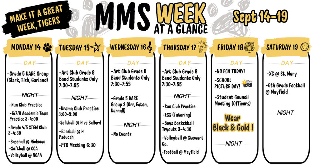MMS Week 6