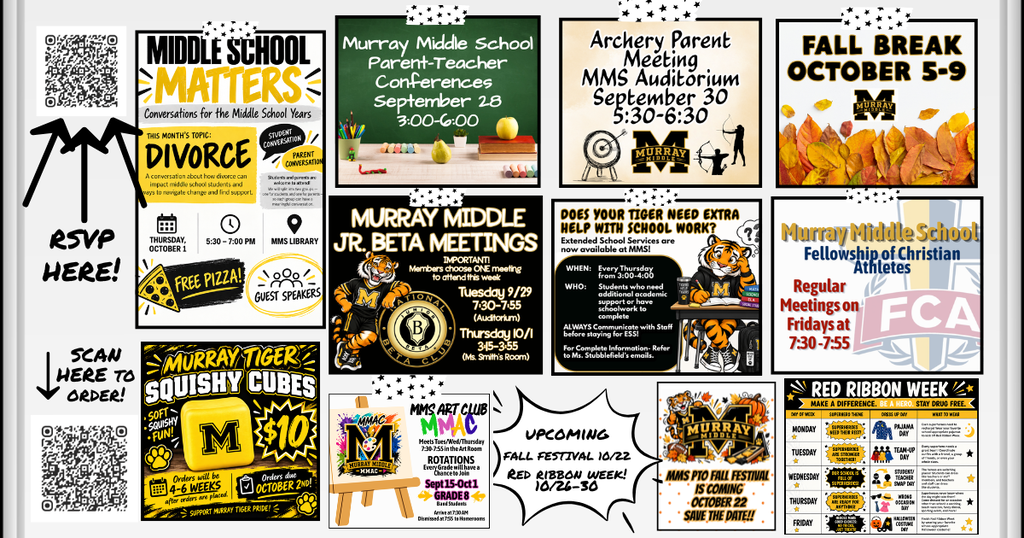 MMS Week 8