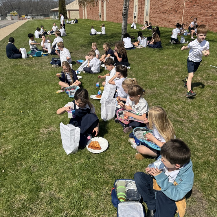 picnic lunch