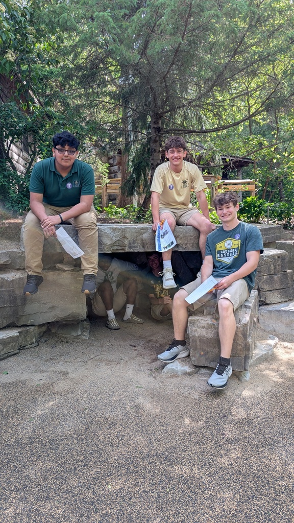 Art Trip