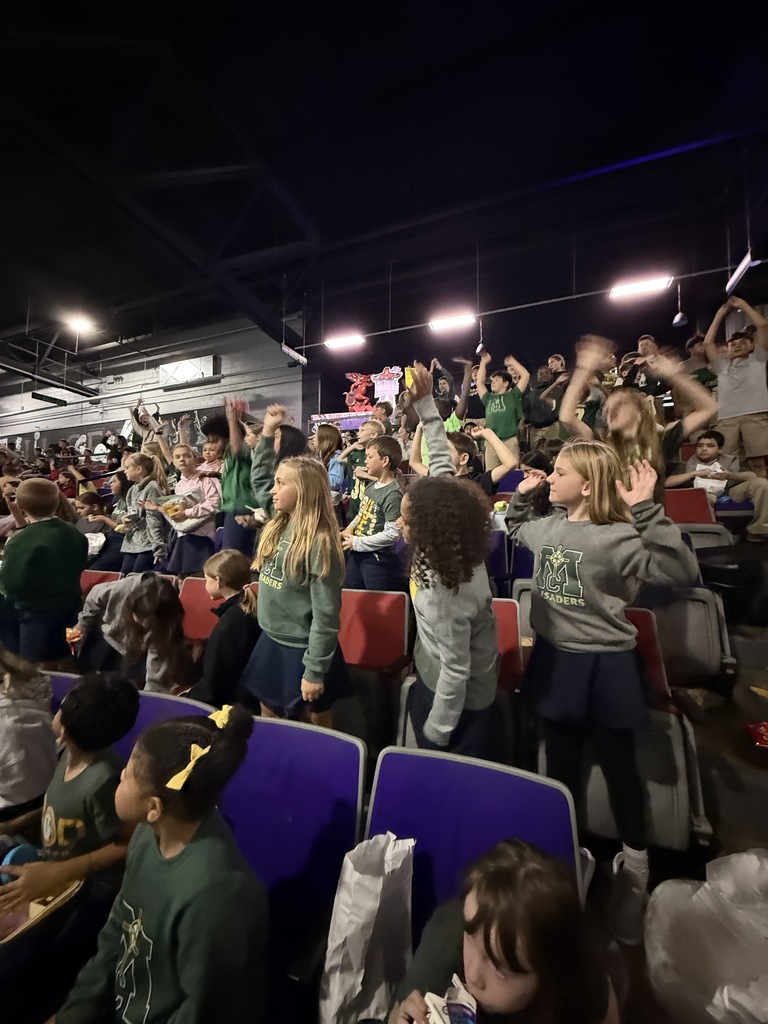 group at hockey game