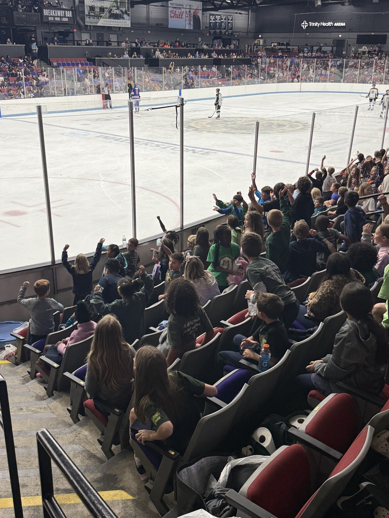 group at hockey game