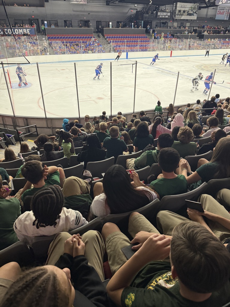group at hockey game