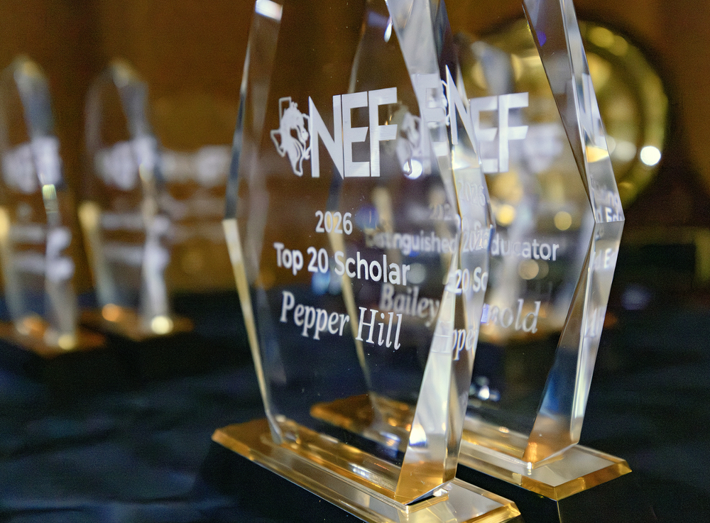 Close up photo of award