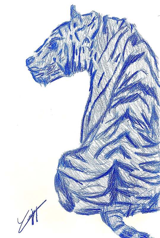 Blue Sky Tiger