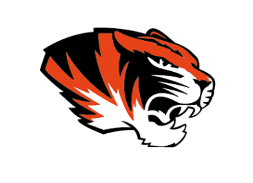 A cell shaded tiger head