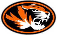 A cell shaded tiger head with an orange circle and black circle border