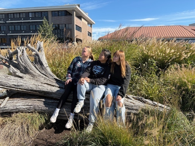 Napavine Art students sit on a fallen tree on a field trip