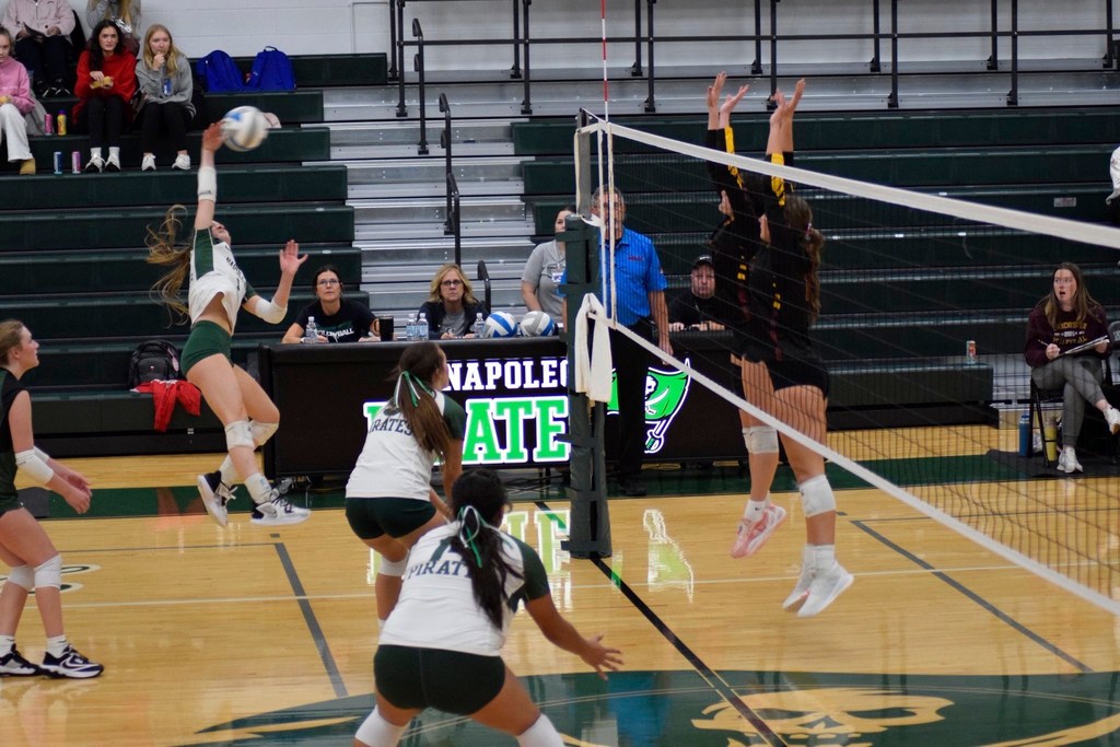 Volleyball Team in Action