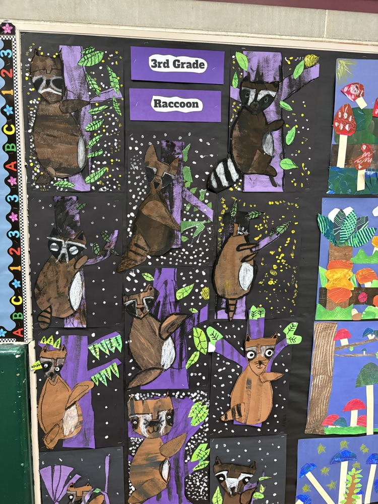 raccoon artwork 