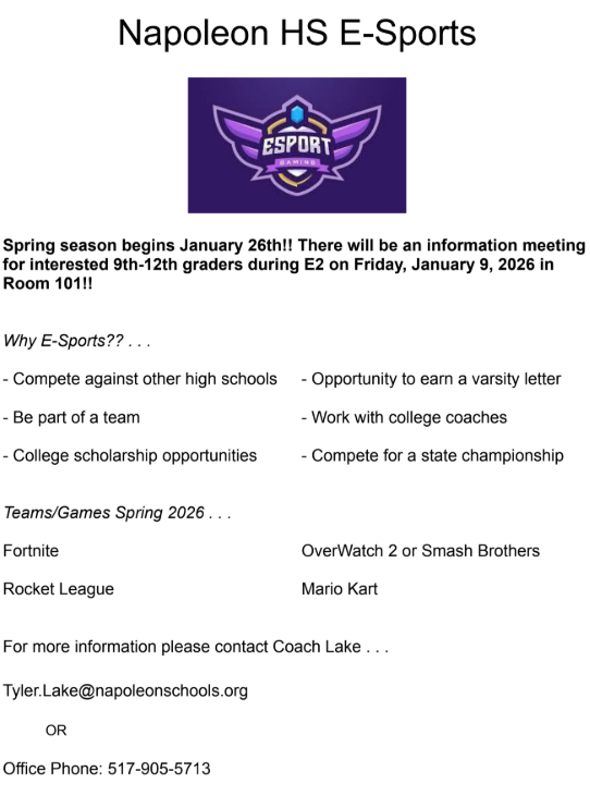 HS E Sport Flyer