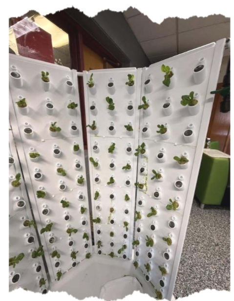 Fork Farms pics March 2026