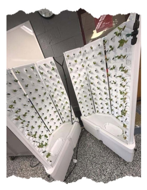 Fork Farms pics March 2026