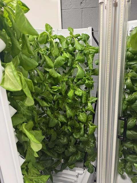 Fork Farms update pic