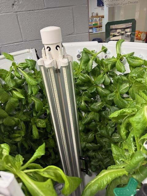 Fork Farms update pic