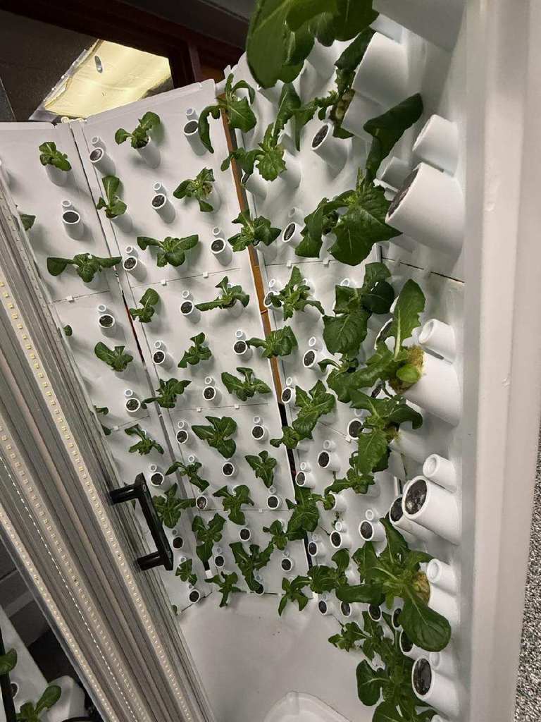 Fork Farms update pic