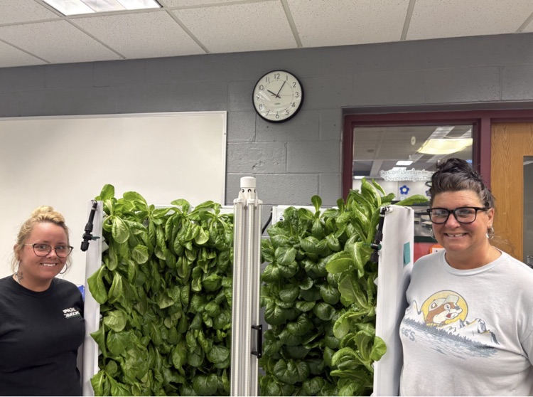 ladies standing next to hydroponics machine with fresh lettuce