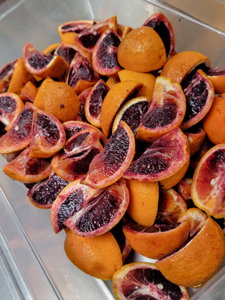 blood red oranges 