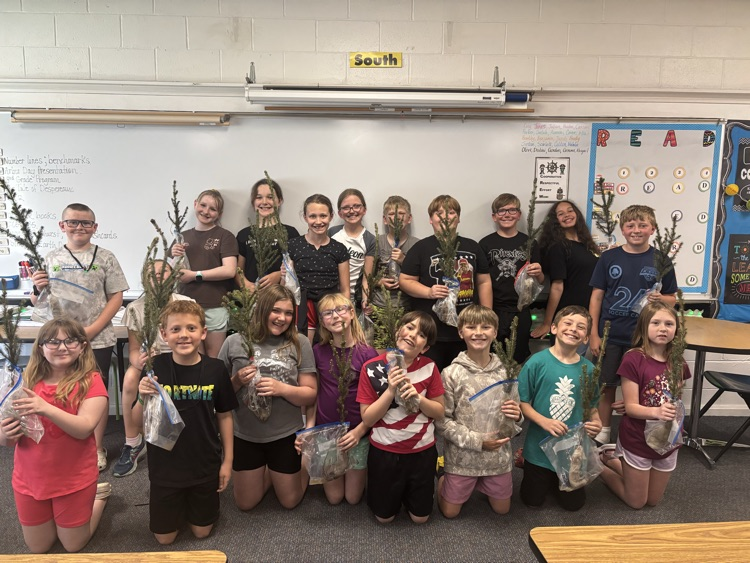 students holding trees