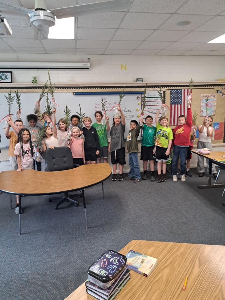 students hding trees