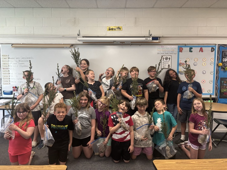 students holding trees