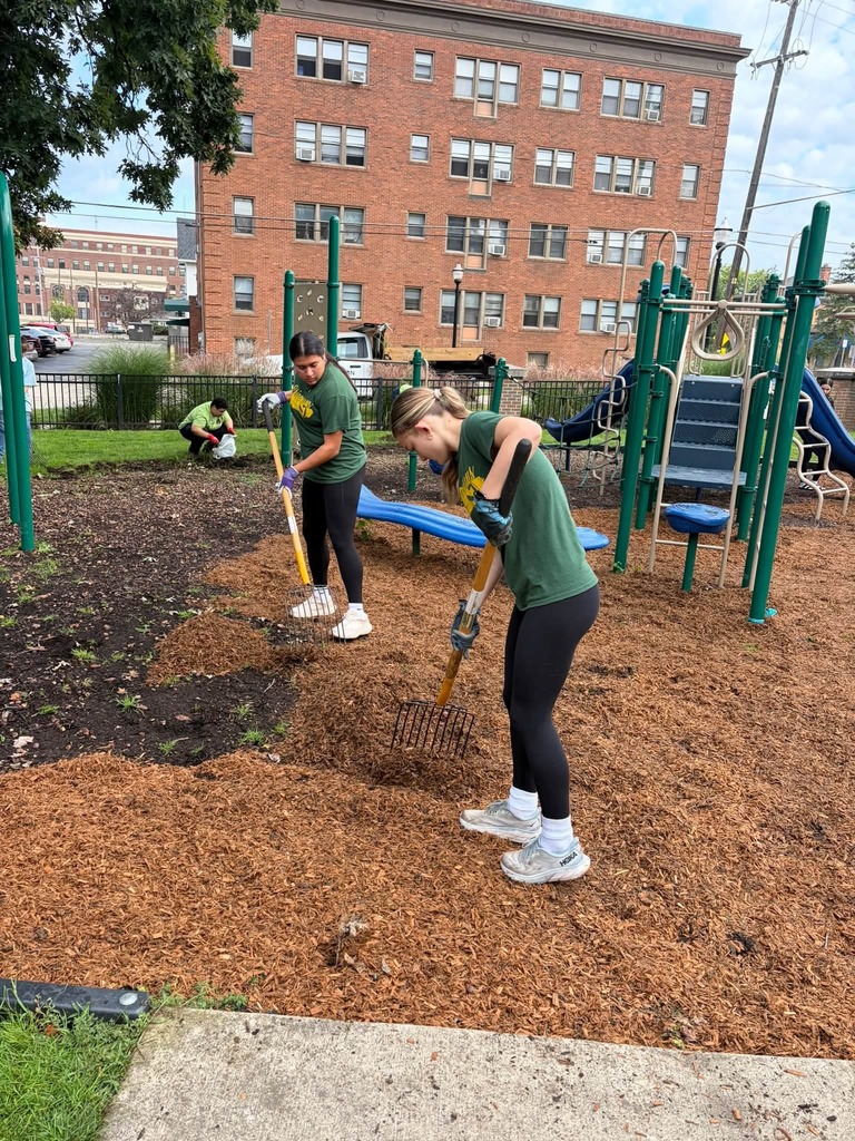 NHS Cleans Up