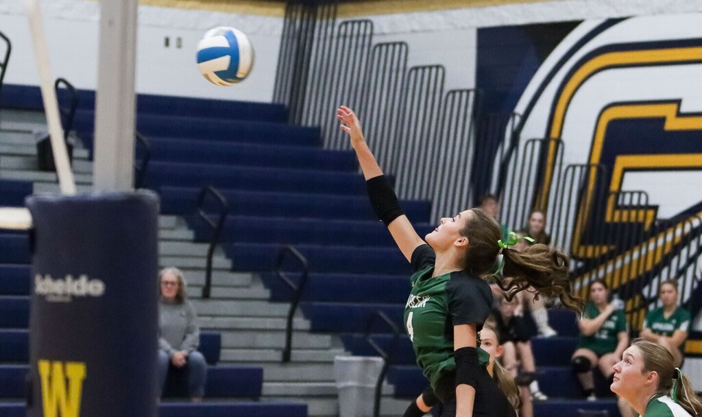 Volleyball