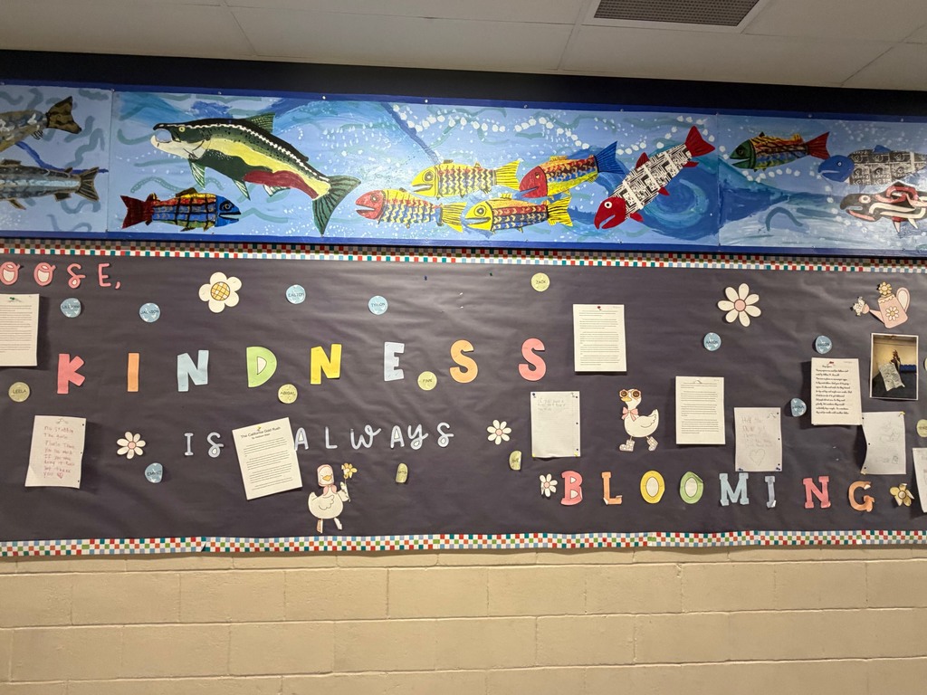 Bulletin Board Decor 