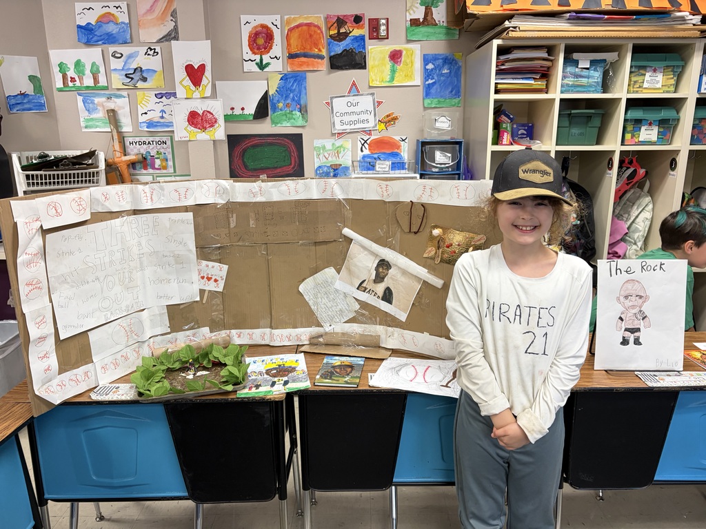 3rd Grade Project
