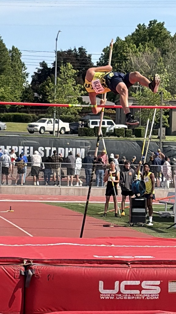 Boys' Pole Vaulters