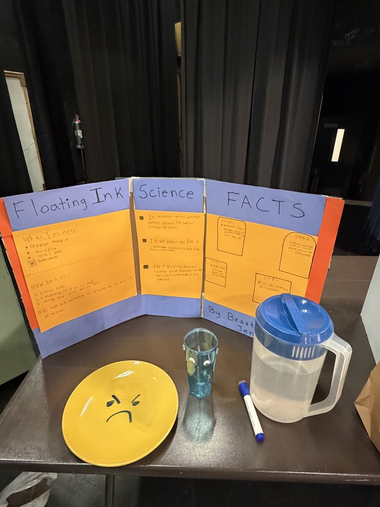 Elementary Science Fair