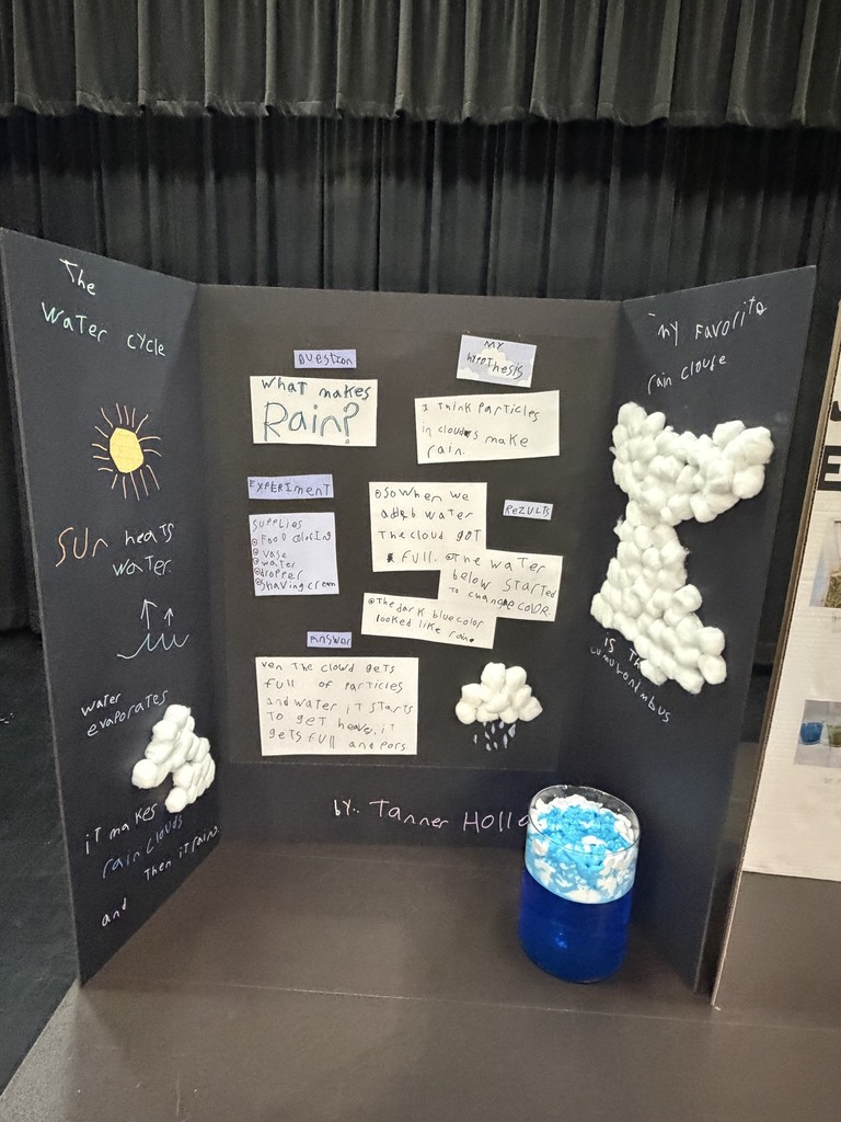 Elementary Science Fair