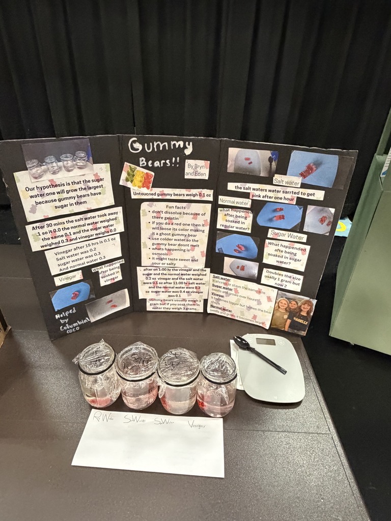 Elementary Science Fair