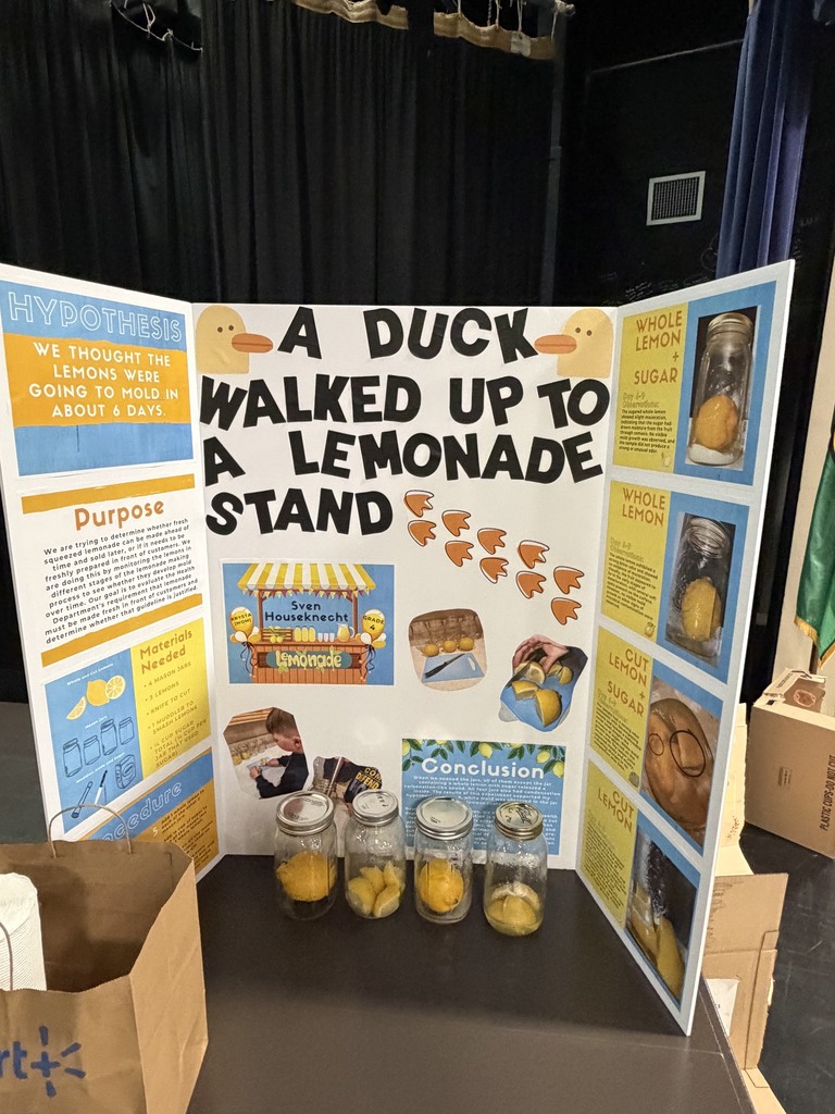 Elementary Science Fair