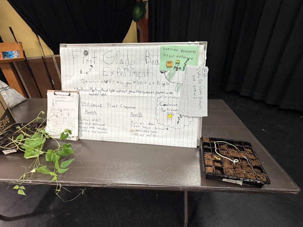 Elementary Science Fair